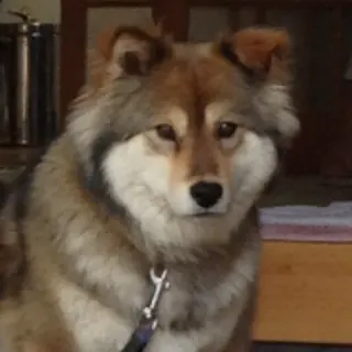 20250305052816_5g9fkatg